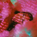 trippinsorrows avatar