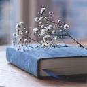 trixierosewrites avatar