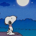 truebluejuniper avatar