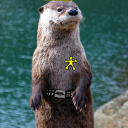 truth-unlimited avatar