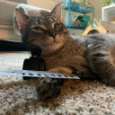 truthofnostalgia avatar