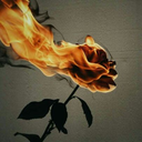 tryingmybests-again avatar