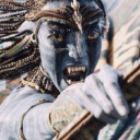 tsaheylu-addict avatar