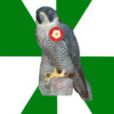 tudorfalcon avatar