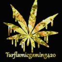 turflamicgaming420 avatar