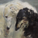 turkishboylidy avatar