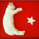 turkophobia avatar