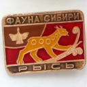 turquoisewaves07 avatar