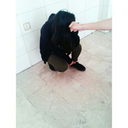 tursulubayatekmek avatar