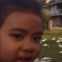 turtleswithhats avatar