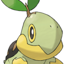 turtwigglewiggle avatar