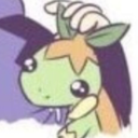 turtwigodon avatar