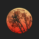 tusmotivaciones avatar