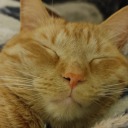 tuttifruitibelle avatar