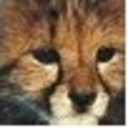 tvd-photography avatar