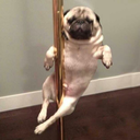 twatyoutalkinbout avatar