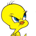 tweety-nam-blog avatar