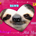 twerkinq-sloths-blog avatar