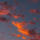 twilit-thoughts avatar