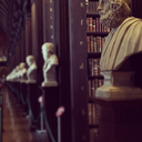 twomeerkatsinatrenchcoat avatar