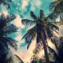 ubatkuatmurah avatar