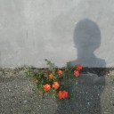 ukrainian-moodboard-enthusiast avatar