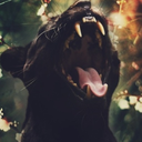 ultimatelyconflicted avatar