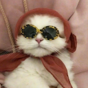 ultralightspace avatar