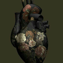 unabashedcashbonkstudent-blog avatar