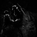 unbindingkerberos avatar