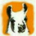 unclellama avatar