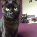 uncreativemess420 avatar