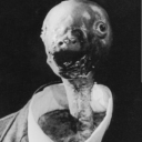 undeadishness avatar