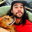 underdogsandlonewolves avatar