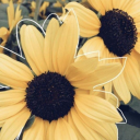 undergroundash avatar