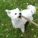 underpressuree avatar