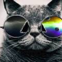 underthecovercat avatar