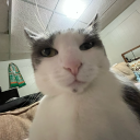 undskyld-hvad avatar