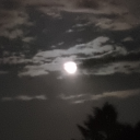 uneducated-author avatar