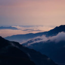 uneducatedavocardo avatar