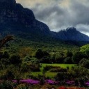 unexpectedroar avatar