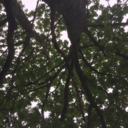 unfortunateseduction avatar