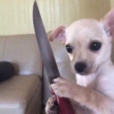 unfriendlymoth avatar