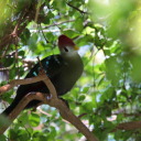 unhookedchalk48 avatar