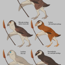 unicorn-moose avatar