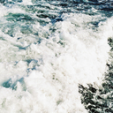 unicornoinunboscodifragole avatar