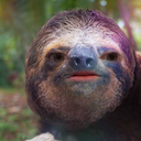 unicornsandlesbians avatar