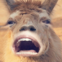 uniquelyunattrative avatar