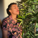 universallyanywhere avatar