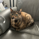 universeofbeaaches avatar